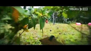 Movie trailer