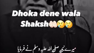 Doka dainy wala