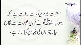 Qoutes collection