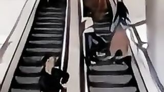 Escalator frank