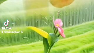 Jadugar the video