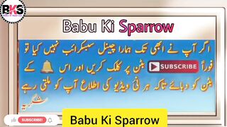 Hazrat Umar Farooq Razi Allah Tala Anhu Amazing