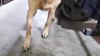 Bud knows how physics works