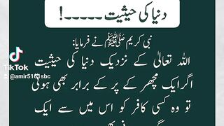 دنیا کی حیثیت