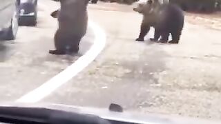 Dubbing Animal