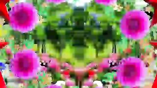 Colaj video