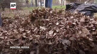 Moscow residents come out for 'Subbotnik' by raking up the city's fallen leaves.