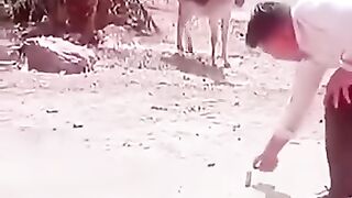 الحمار وفرحت العيد