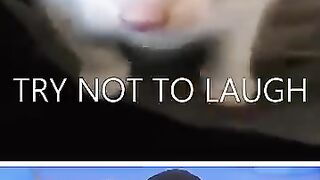 FUNNY MEMES????