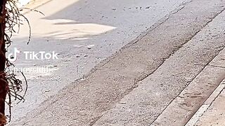 Funny viral video