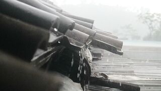 The Beauty and Power of Rain