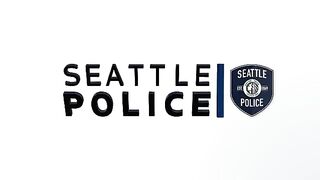 Seattle teen arrested after punching woman, stealing purse at pharmacy