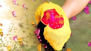 The World Everything Amazing | Episode 360 | 2024 |
