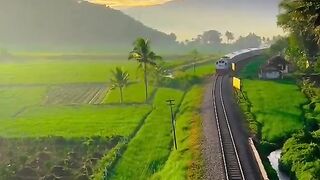 A Beautiful moments by trans