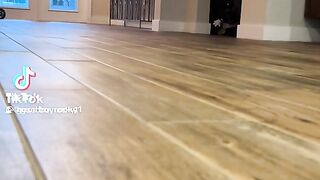 El perrito disfrazado