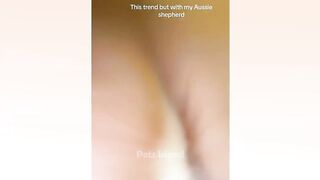 New funniest trendingthink i like this little