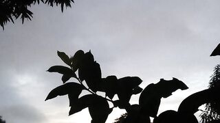 Un hermoso atardecer