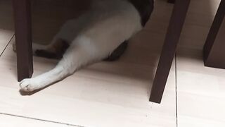 Waiting a mouse