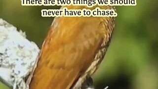 Life Lessons