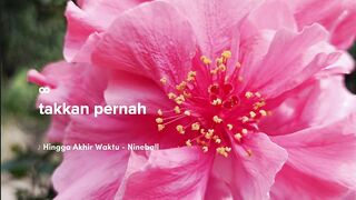 The flower
