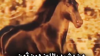 ينشئ مدون الفيديو هذا مقاطع فيديو رائعة! تعال وشاهد!    https://k.kwai.com/u/@Md6090/6CxkCDkl