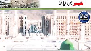 یہودیوں کا درخت ????????