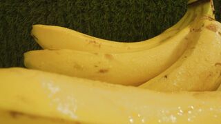 Pair of plantain stalks in a close up shot