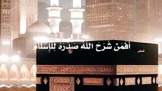 Psychological comfort by listening to the Holy Quran