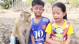 monkey water drinking.