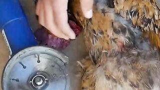 Best video 2024