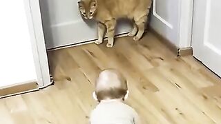Cat fun with baby ????