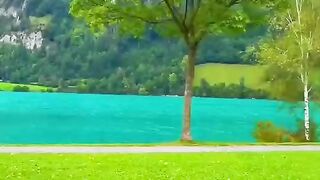 Natural video