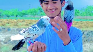 4kasifkhan