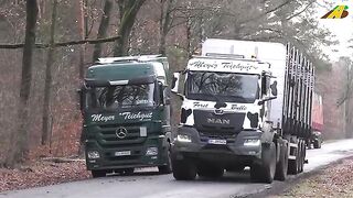 Holztransport mit Spezialfahrzeug.