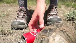 Women's survival Skills