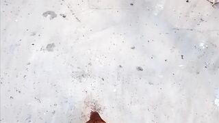 Birds Planet