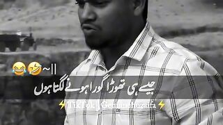 New funny clips latest funny 2024