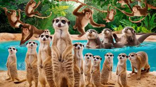 Come meet the world's most active creatures!Come meet the world's most active creatures!