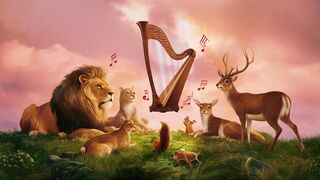 Get Lost in the Calming World of Animals and Music