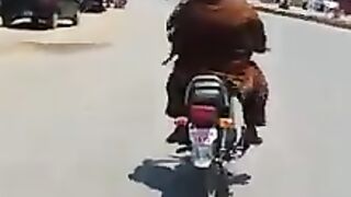 جہاں دنیا کی قابلیت ختم ہوتی ہے وہاں سے سترہ کلومیٹر آگے پاکستانی قوم شروع کر تی ہے