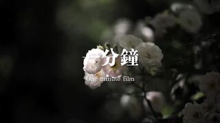 Summer green forest drunk with flowers