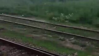 train travel