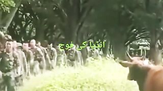 India ki fauj funny ???? video