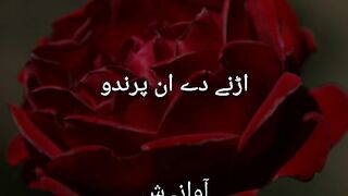Urdu Poetry || Urne de in Parendo ko Azad Fizaoo me Ghalib #shorts