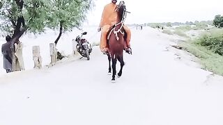tiktok_1714131072693463657.