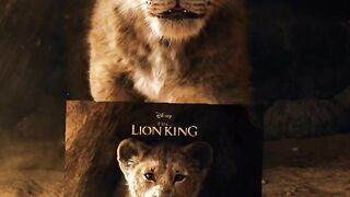 There can only one king that's LION