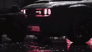 Cars lover
