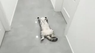 Cate Lovers