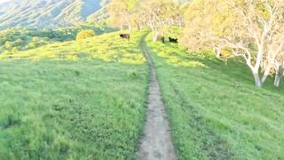 Travel and life