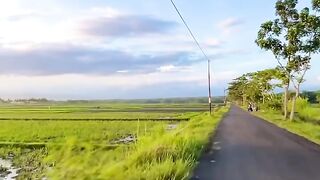 Pemandangan yang indah